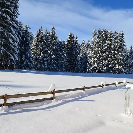 Via Claudia Haus 75 Waldromantik * Lechbruck am See